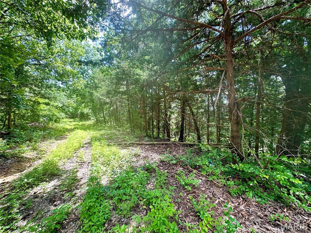 Photo 2 - Land for sale – TBD  Bluebird   Rolla, MO