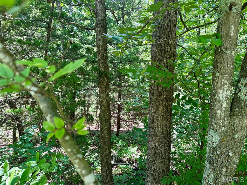 Photo 6 - Land for sale – TBD  Bluebird   Rolla, MO