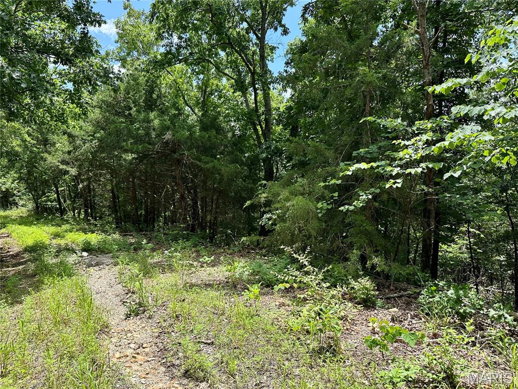 Land for sale – TBD  Bluebird   Rolla, MO