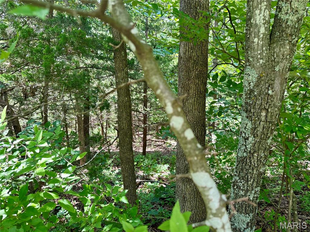 Photo 5 - Land for sale – TBD  Bluebird   Rolla, MO