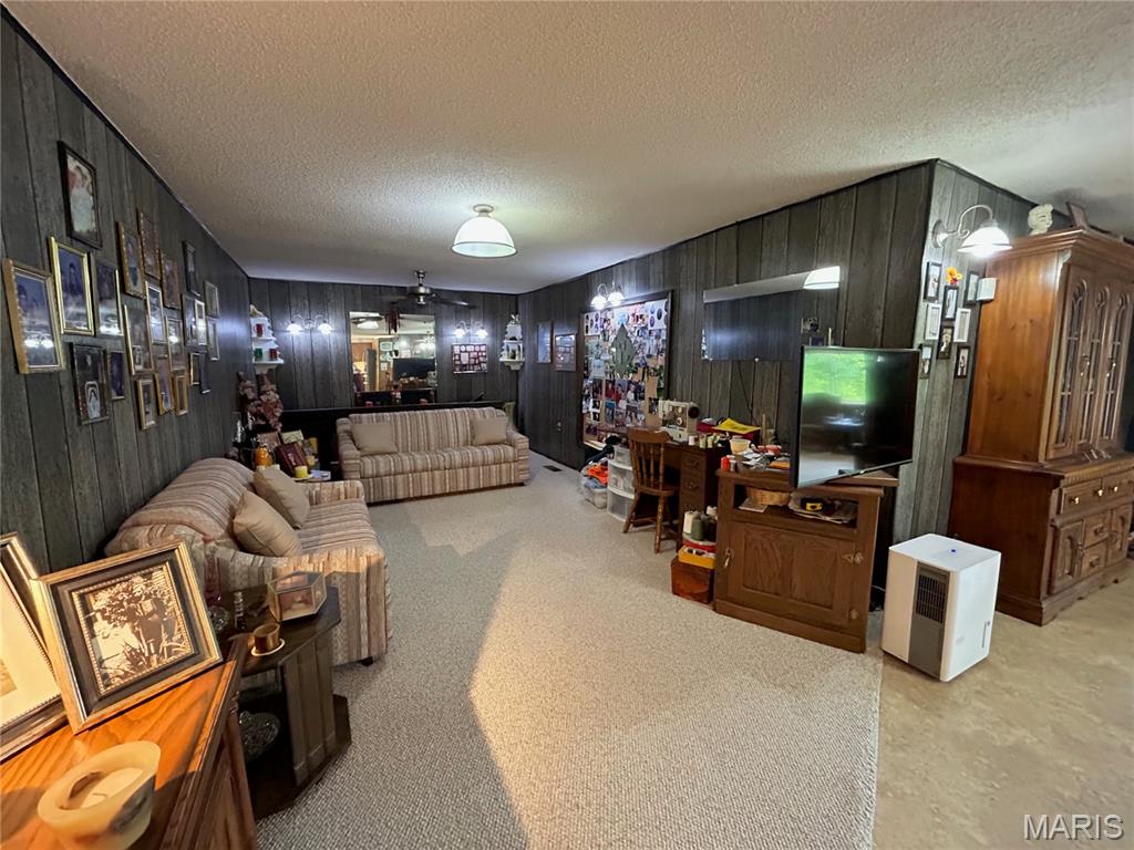 Photo 31 - Residential for sale – 474  Highway Zz   Jadwin, MO