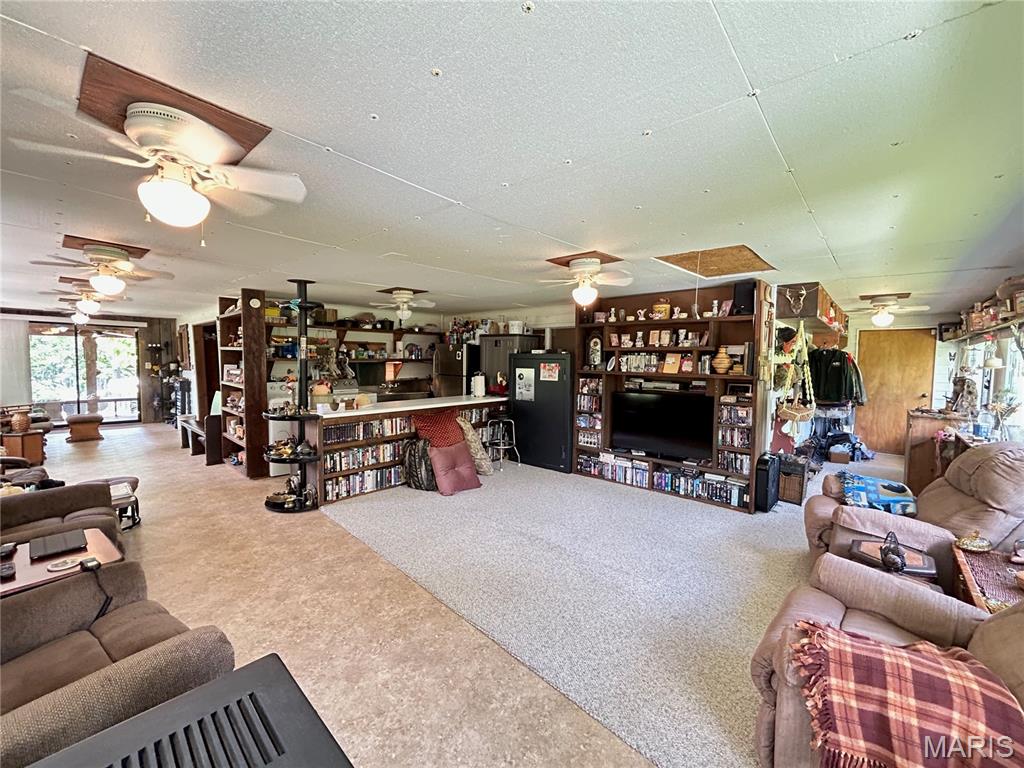 Photo 47 - Residential for sale – 474  Highway Zz   Jadwin, MO