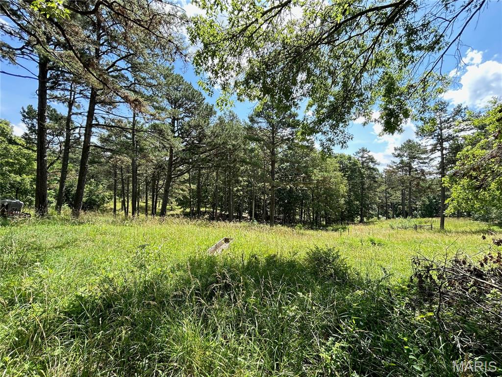 Photo 66 - Residential for sale – 474  Highway Zz   Jadwin, MO
