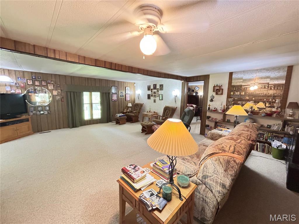 Photo 33 - Residential for sale – 474  Highway Zz   Jadwin, MO