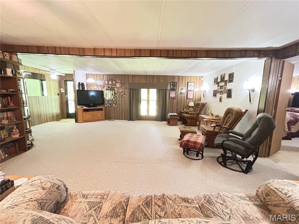 Photo 34 - Residential for sale – 474  Highway Zz   Jadwin, MO