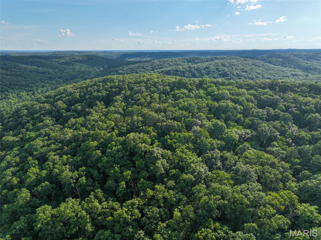 Photo 52 - Farm for sale – 5610  Cr-5610   Bunker, MO