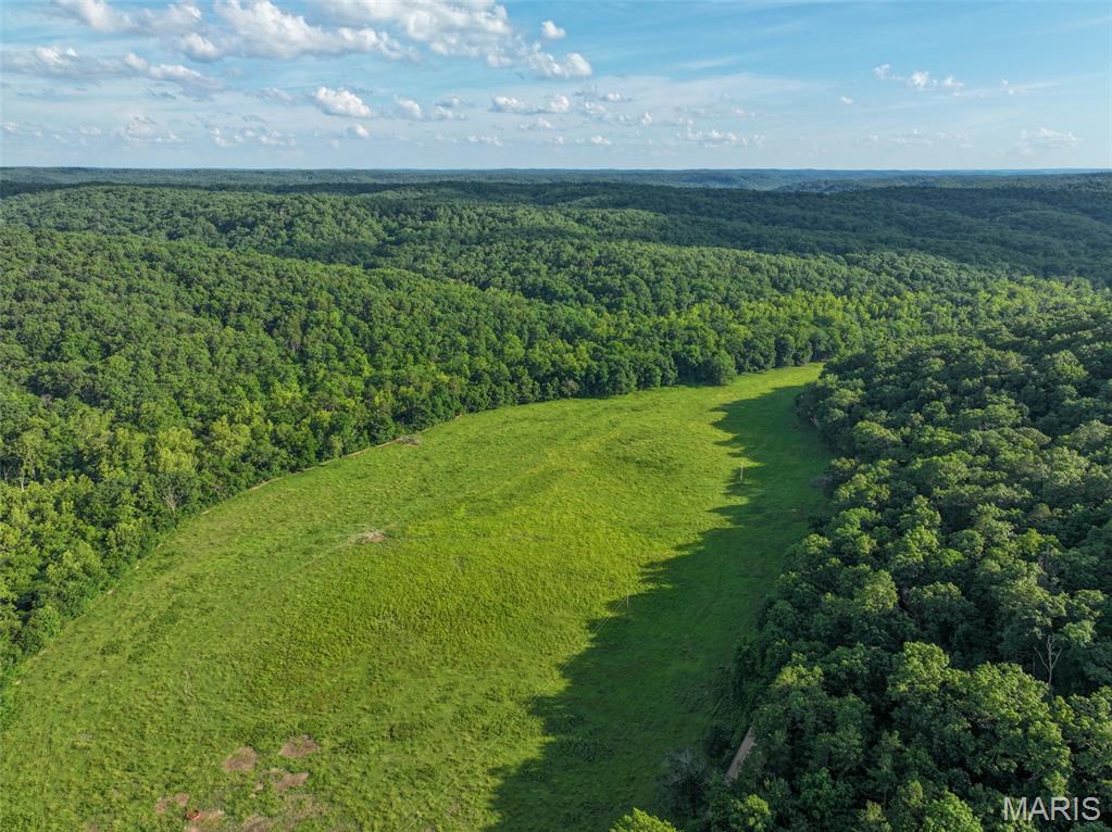 Photo 40 - Farm for sale – 5610  Cr-5610   Bunker, MO
