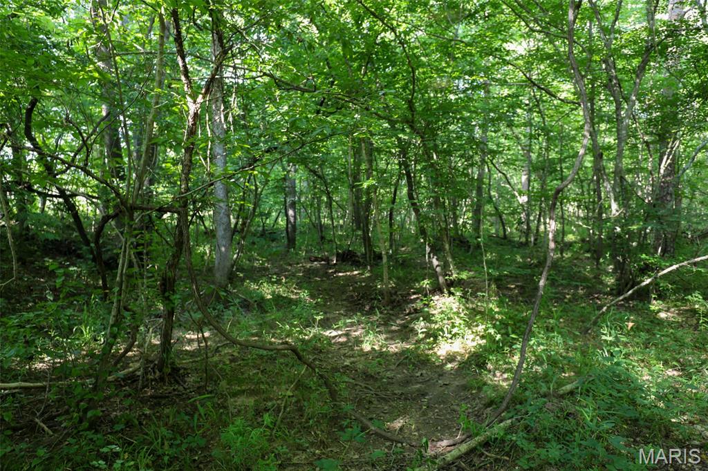 Photo 50 - Farm for sale – 5610  Cr-5610   Bunker, MO