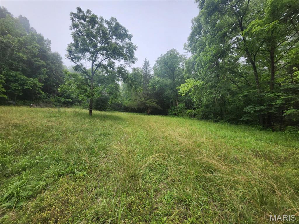 Photo 16 - Land for sale – TBD  M- Pool Holler Cave   Rolla, MO