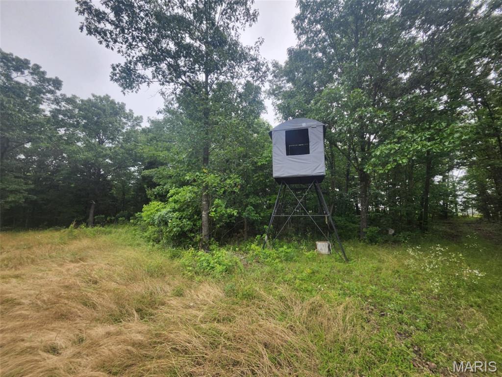 Photo 15 - Land for sale – TBD  M- Pool Holler Cave   Rolla, MO