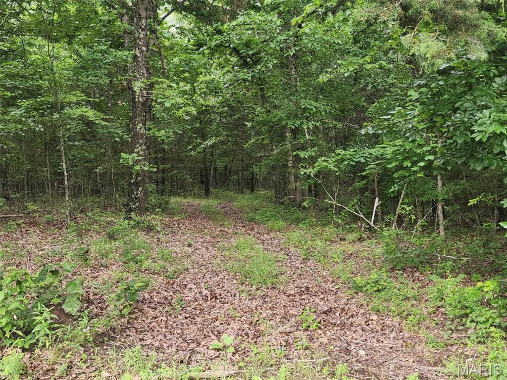 Photo 14 - Land for sale – TBD  M- Pool Holler Cave   Rolla, MO