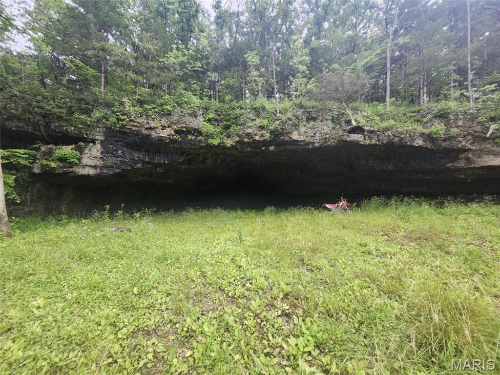Photo 3 - Land for sale – TBD  M- Pool Holler Cave   Rolla, MO