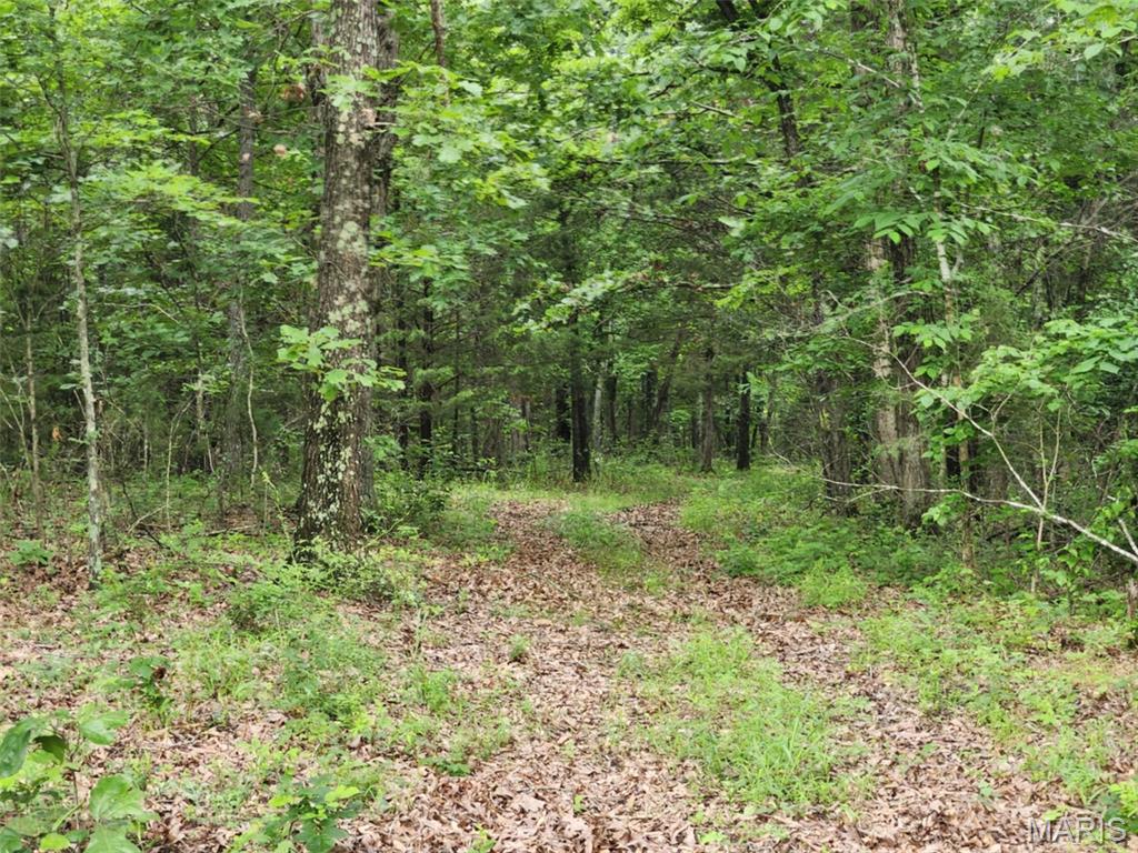 Photo 7 - Land for sale – TBD  M- Pool Holler Cave   Rolla, MO