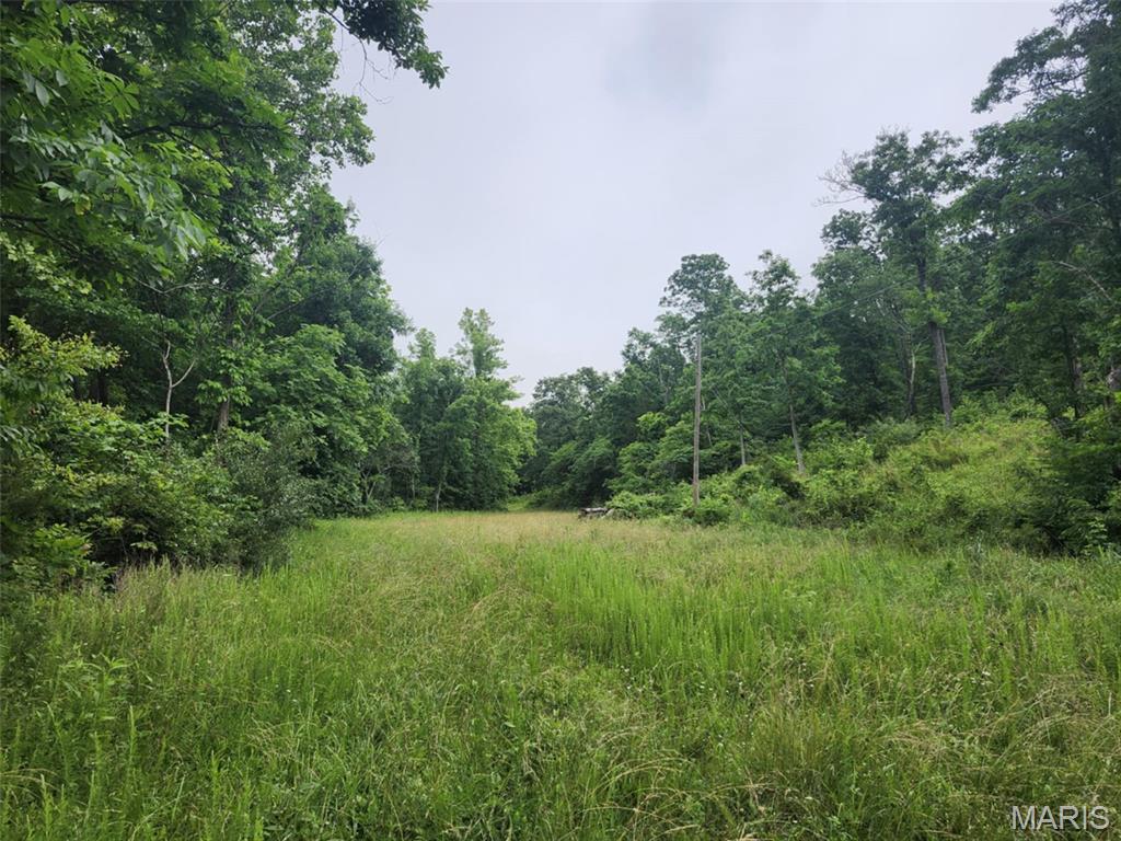 Photo 8 - Land for sale – TBD  M- Pool Holler Cave   Rolla, MO