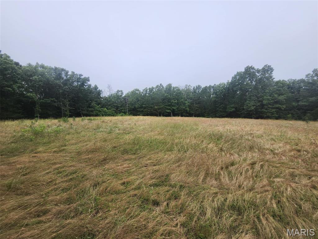 Photo 19 - Land for sale – TBD  M- Pool Holler Cave   Rolla, MO