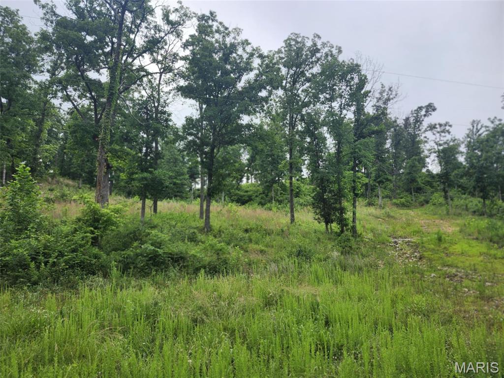 Photo 10 - Land for sale – TBD  M- Pool Holler Cave   Rolla, MO