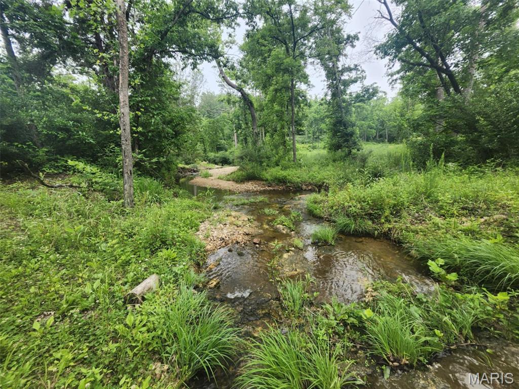 Photo 4 - Land for sale – TBD  M- Pool Holler Cave   Rolla, MO