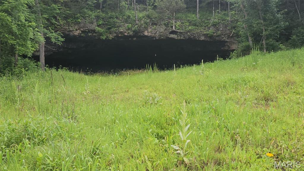 Photo 12 - Land for sale – TBD  M- Pool Holler Cave   Rolla, MO