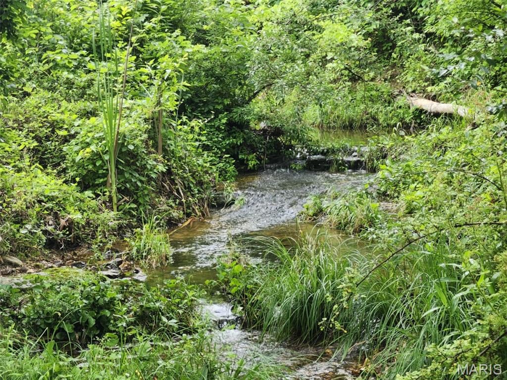 Photo 18 - Land for sale – TBD  M- Pool Holler Cave   Rolla, MO