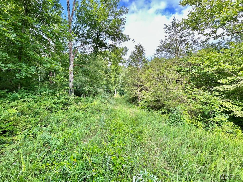 Photo 31 - Farm for sale – 3116  County Road 5615   Bunker, MO