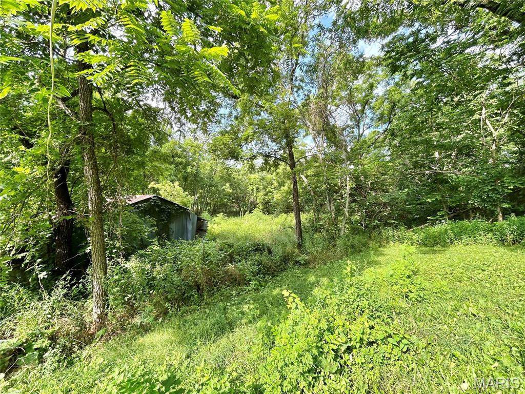 Photo 29 - Farm for sale – 3116  County Road 5615   Bunker, MO