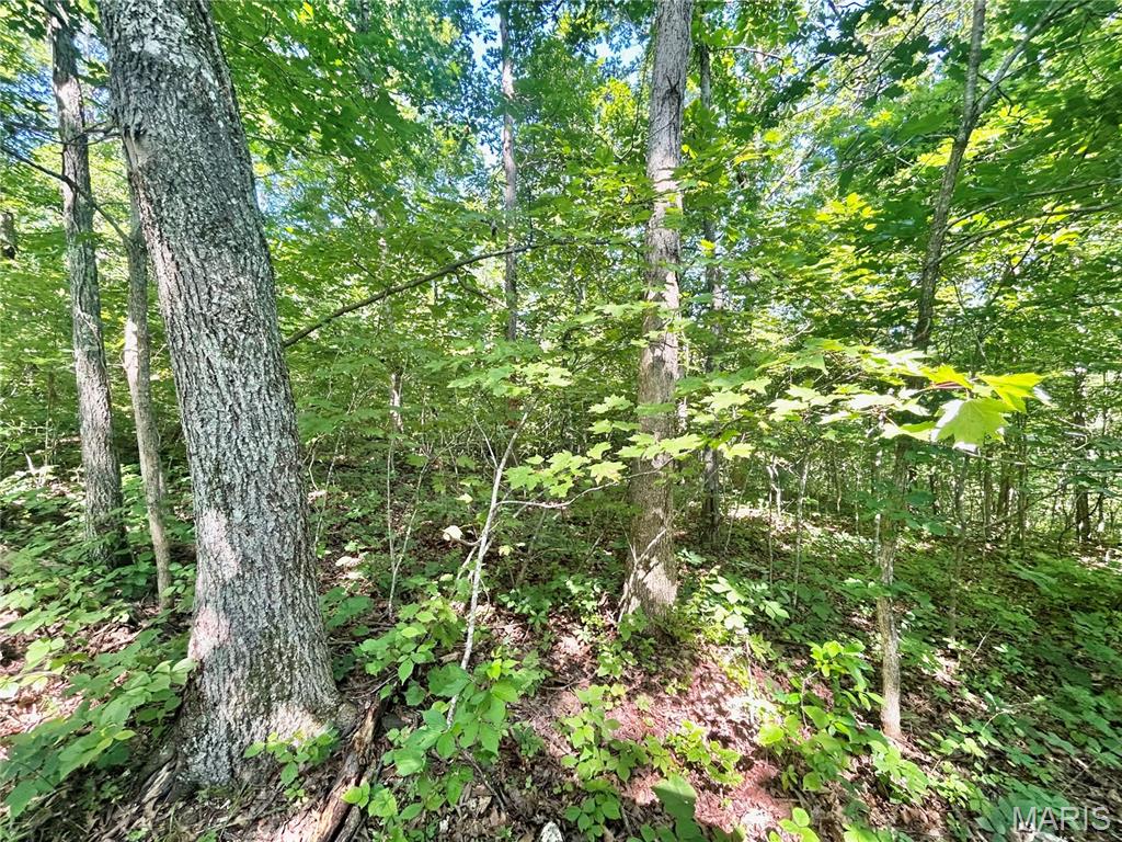 Photo 34 - Farm for sale – 3116  County Road 5615   Bunker, MO