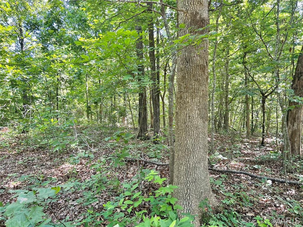 Photo 36 - Farm for sale – 3116  County Road 5615   Bunker, MO