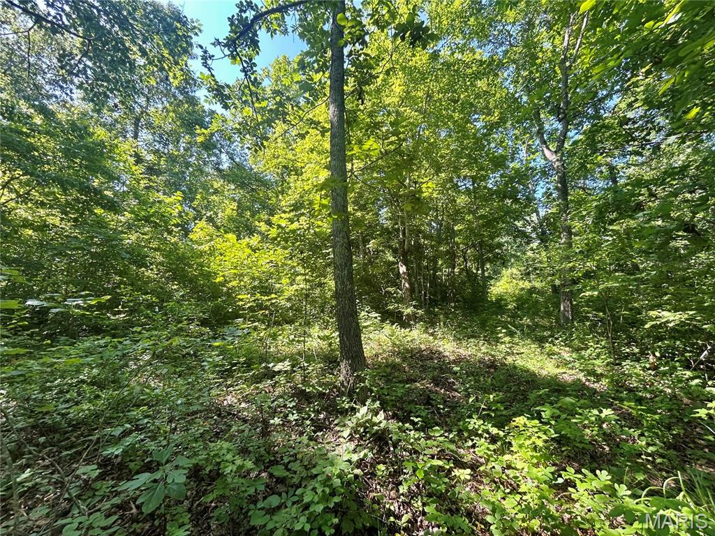 Photo 33 - Farm for sale – 3116  County Road 5615   Bunker, MO