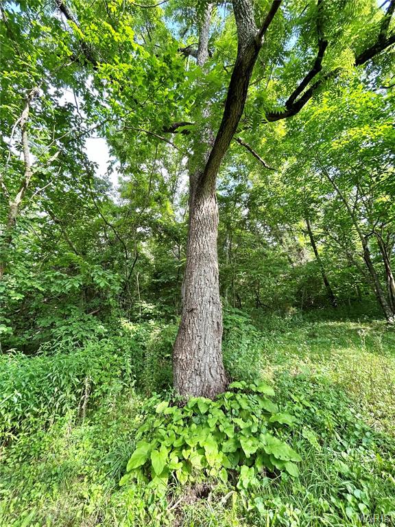 Photo 30 - Farm for sale – 3116  County Road 5615   Bunker, MO