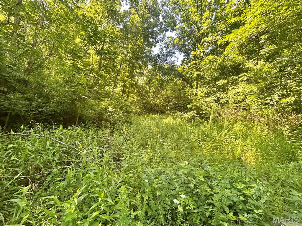 Photo 32 - Farm for sale – 3116  County Road 5615   Bunker, MO