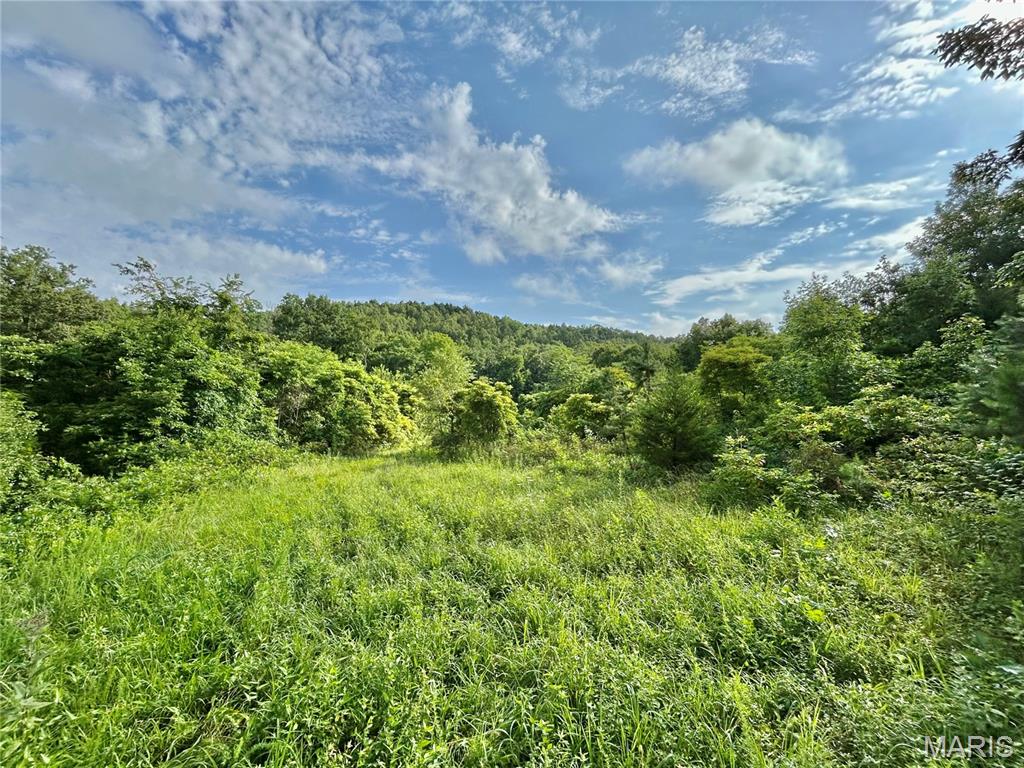 Photo 28 - Farm for sale – 3116  County Road 5615   Bunker, MO