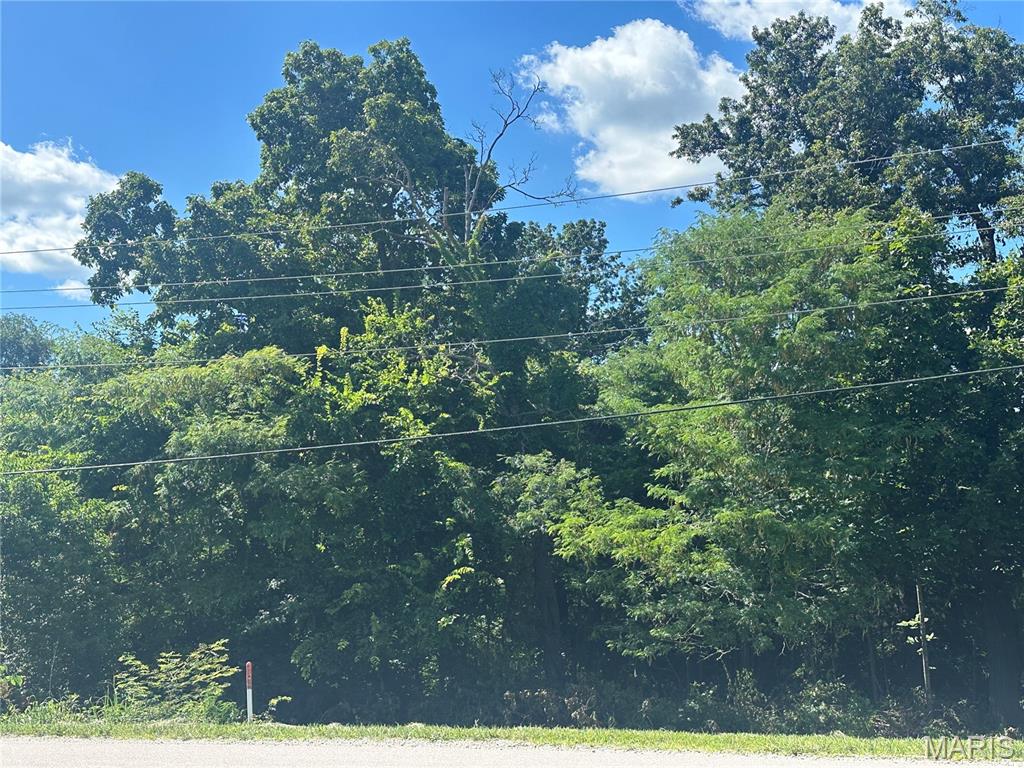 Photo 2 - Land for sale – 1207 E James   St James, MO