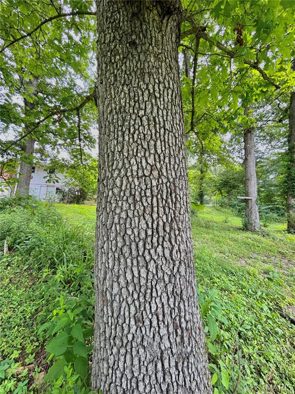 Photo 46 - Residential for sale – 9  Great Oaks Drive  Salem, MO