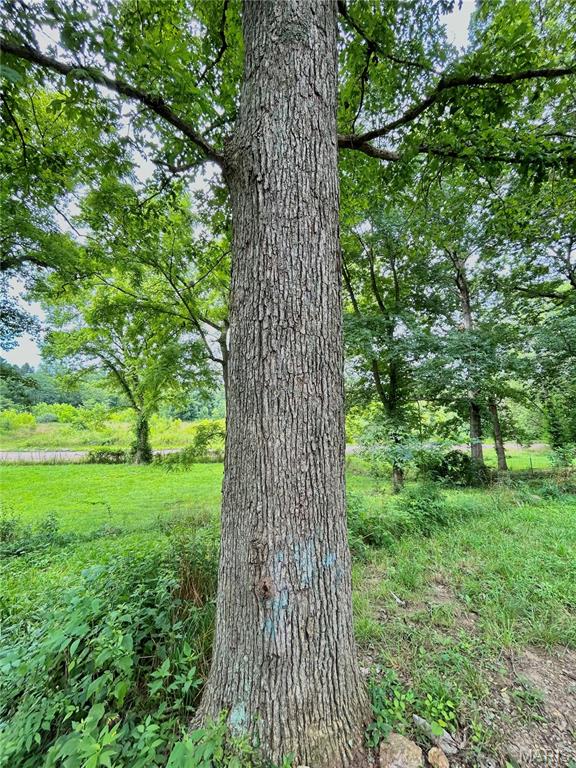 Photo 42 - Residential for sale – 9  Great Oaks Drive  Salem, MO
