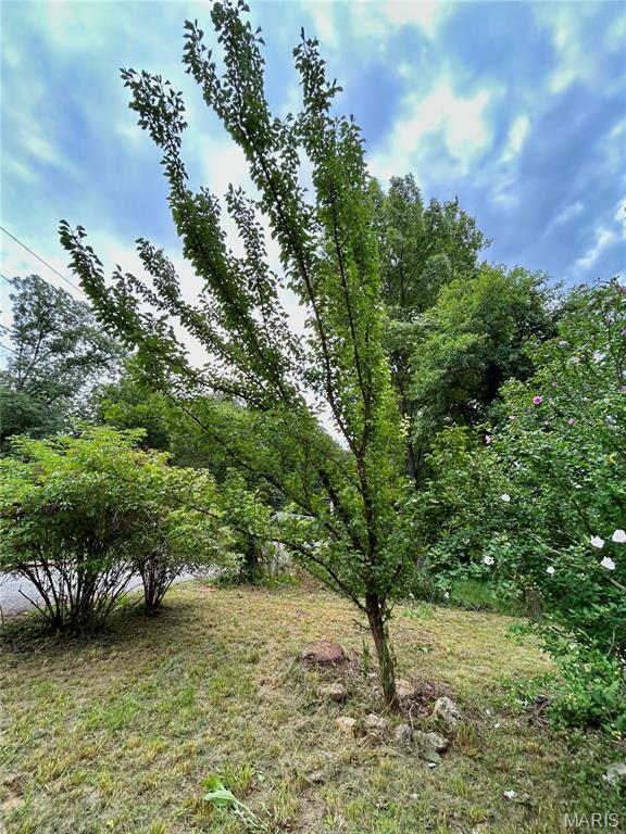 Photo 55 - Residential for sale – 9  Great Oaks Drive  Salem, MO