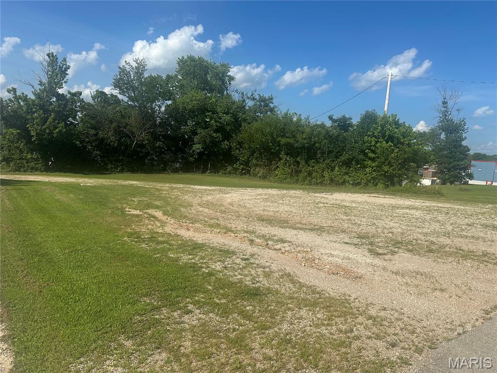 Photo 3 - Land for sale – 4 S Tower Street  Salem, MO