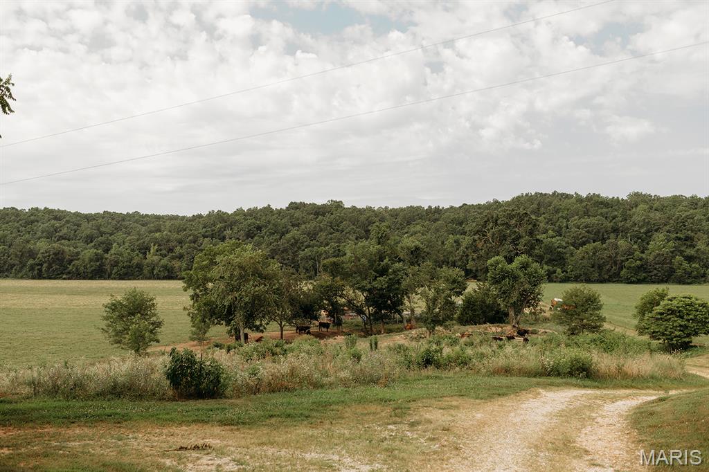 Photo 8 - Farm for sale – 8500  Highway B   Bunker, MO