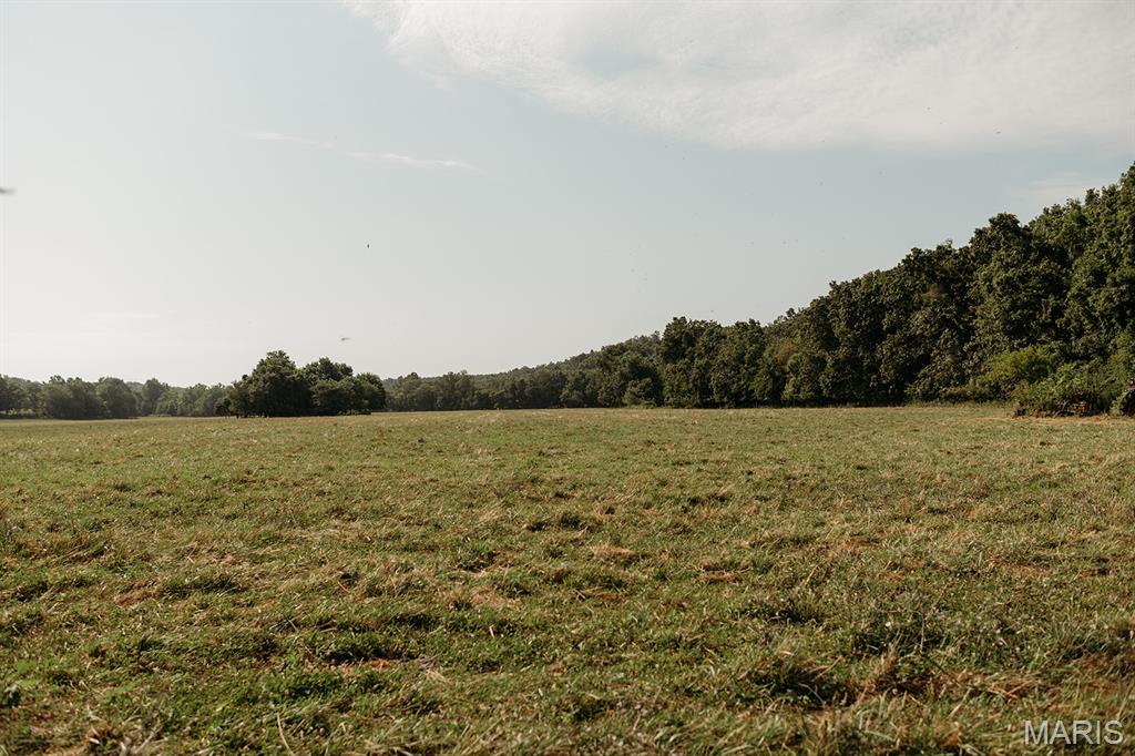 Photo 6 - Farm for sale – 8500  Highway B   Bunker, MO