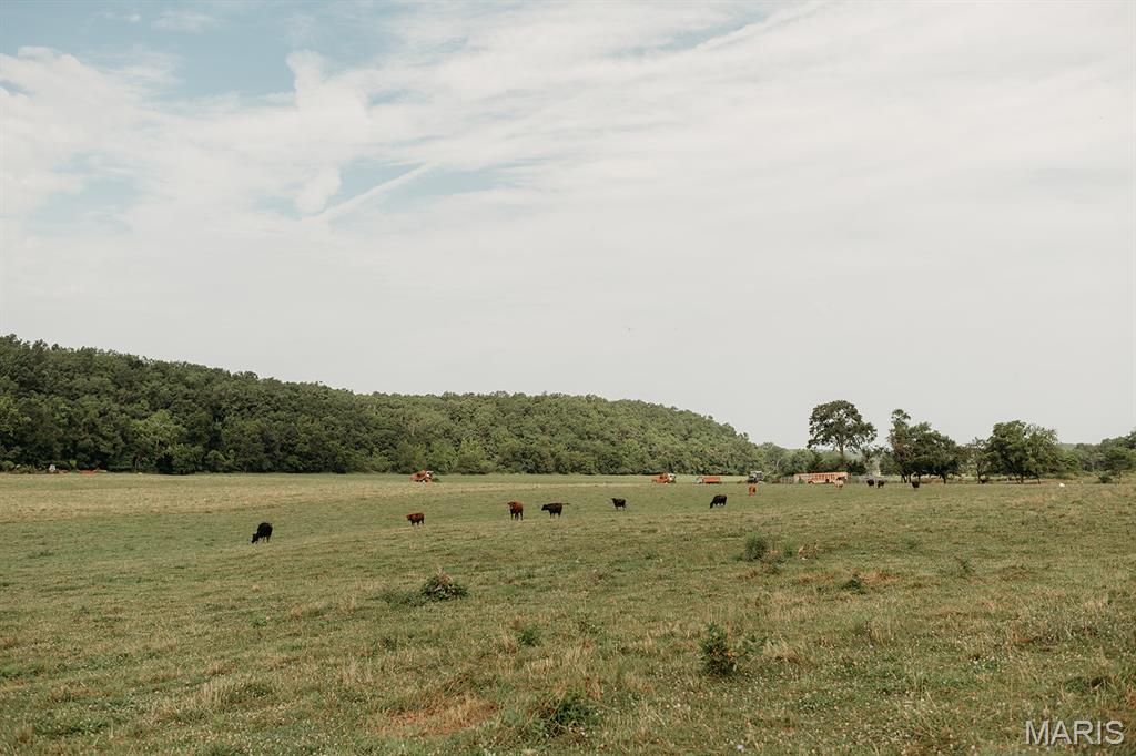 Photo 9 - Farm for sale – 8500  Highway B   Bunker, MO