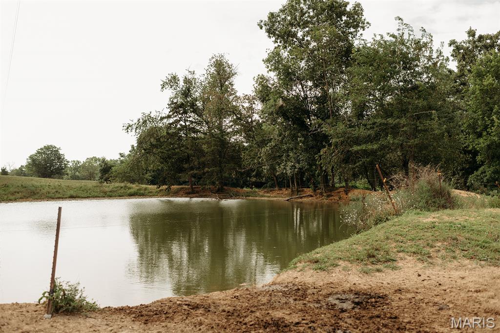 Photo 13 - Farm for sale – 8500  Highway B   Bunker, MO