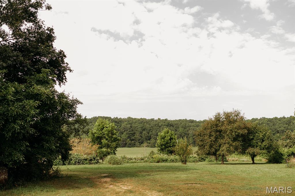 Photo 7 - Farm for sale – 8500  Highway B   Bunker, MO