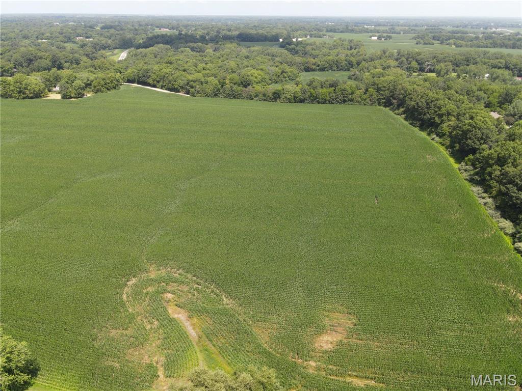 Photo 14 - Land for sale – 1454  Scott Troy Road  Lebanon, IL