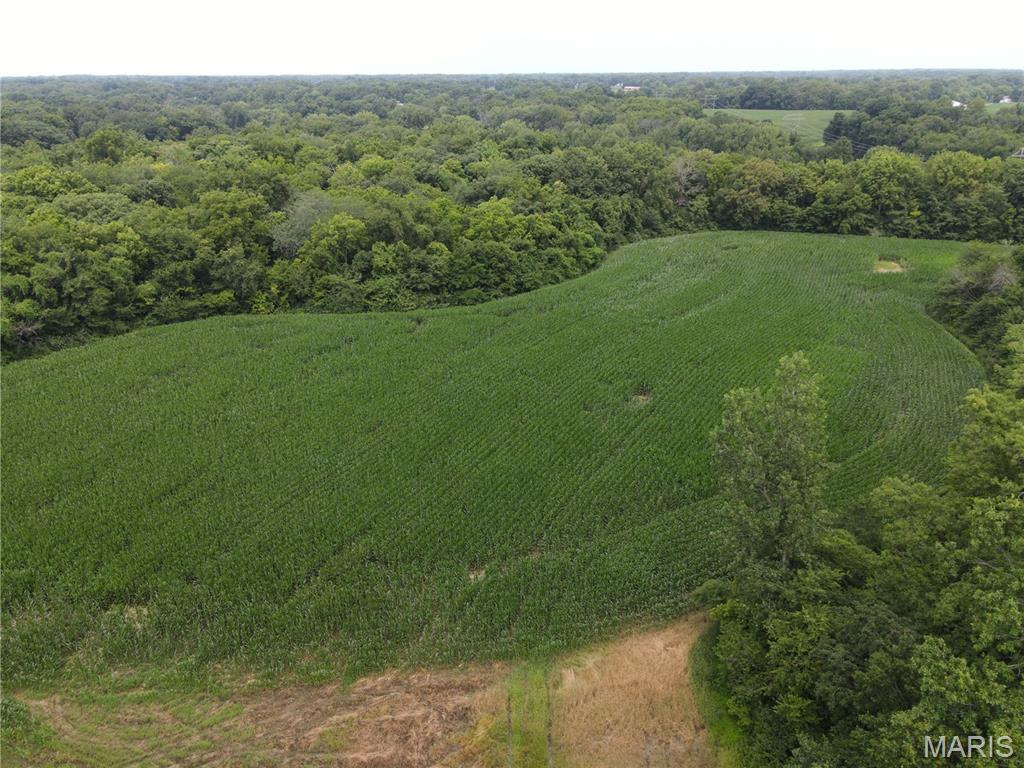 Photo 40 - Land for sale – 1454  Scott Troy Road  Lebanon, IL