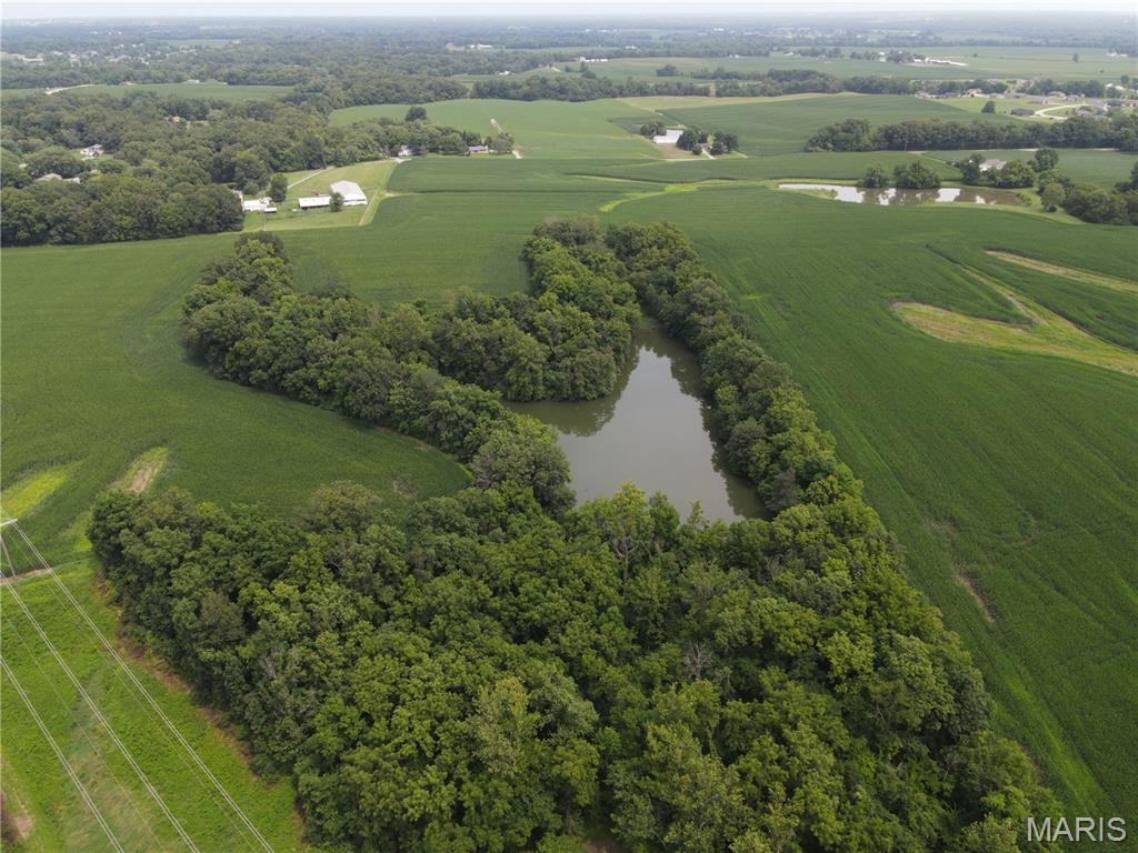 Photo 31 - Land for sale – 1454  Scott Troy Road  Lebanon, IL