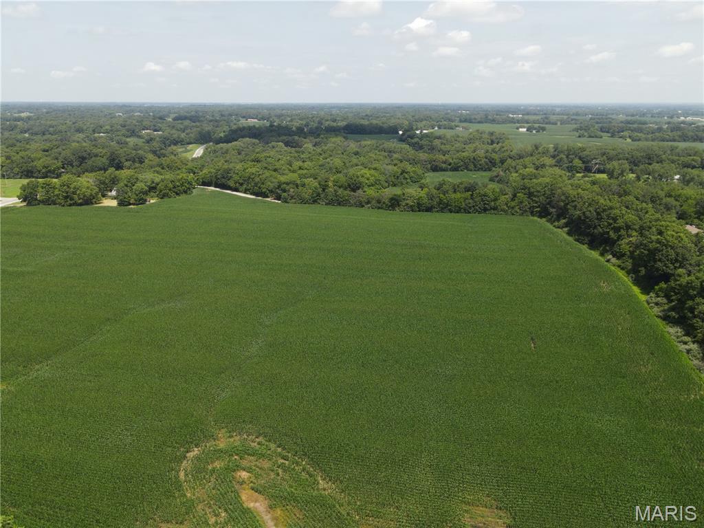 Photo 13 - Land for sale – 1454  Scott Troy Road  Lebanon, IL