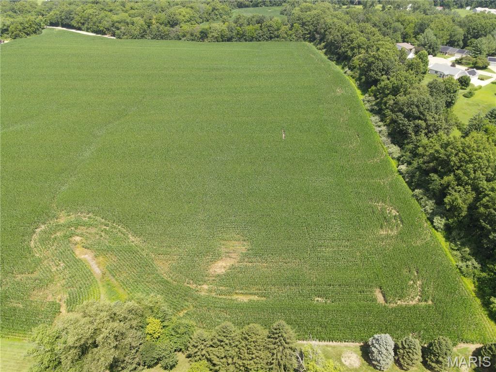 Photo 11 - Land for sale – 1454  Scott Troy Road  Lebanon, IL
