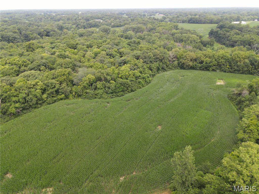 Photo 39 - Land for sale – 1454  Scott Troy Road  Lebanon, IL