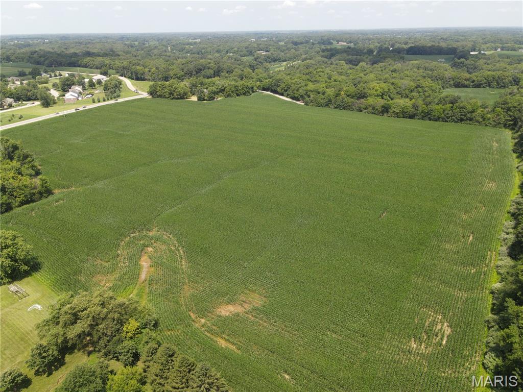 Photo 10 - Land for sale – 1454  Scott Troy Road  Lebanon, IL