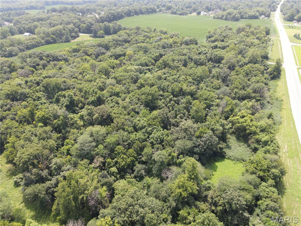 Photo 6 - Land for sale – 1454  Scott Troy Road  Lebanon, IL