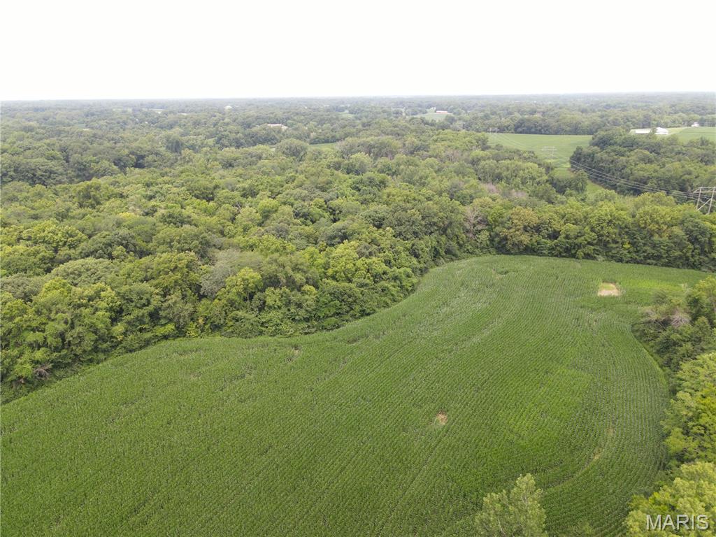 Photo 38 - Land for sale – 1454  Scott Troy Road  Lebanon, IL